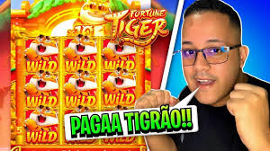 wild jogo do tigre para mobile